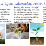 Ilustracja do artykułu 04.png